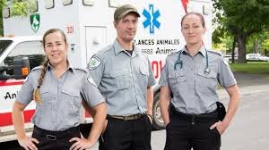 ambulances-animales2.jpg
