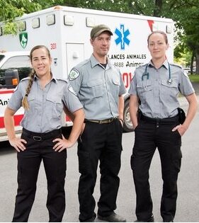 Ambulances animales - 39 x 30'