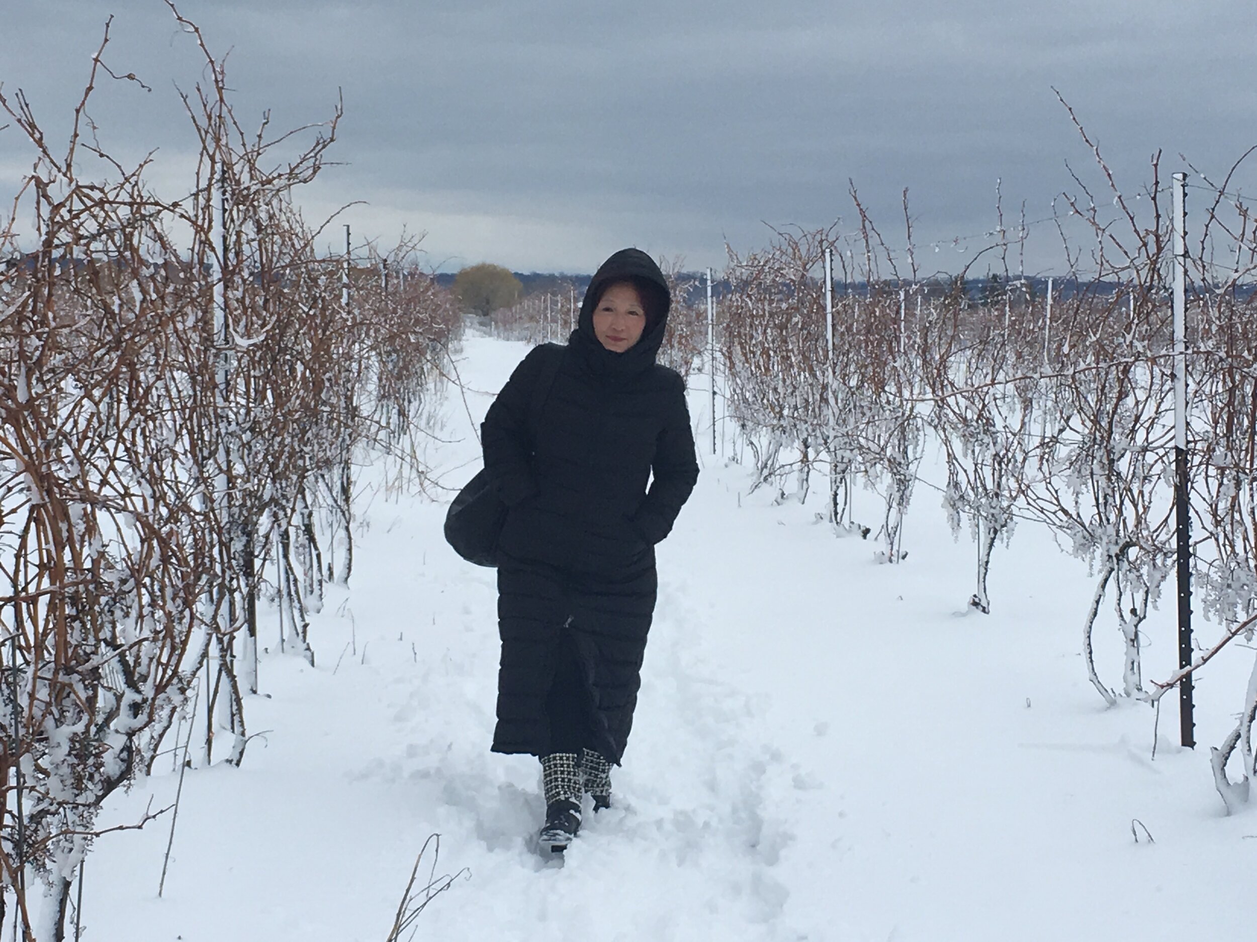 Farmland - Cathy Yang walks through the vineyard at Marynissen Winery, which is owned by her brother.jpg
