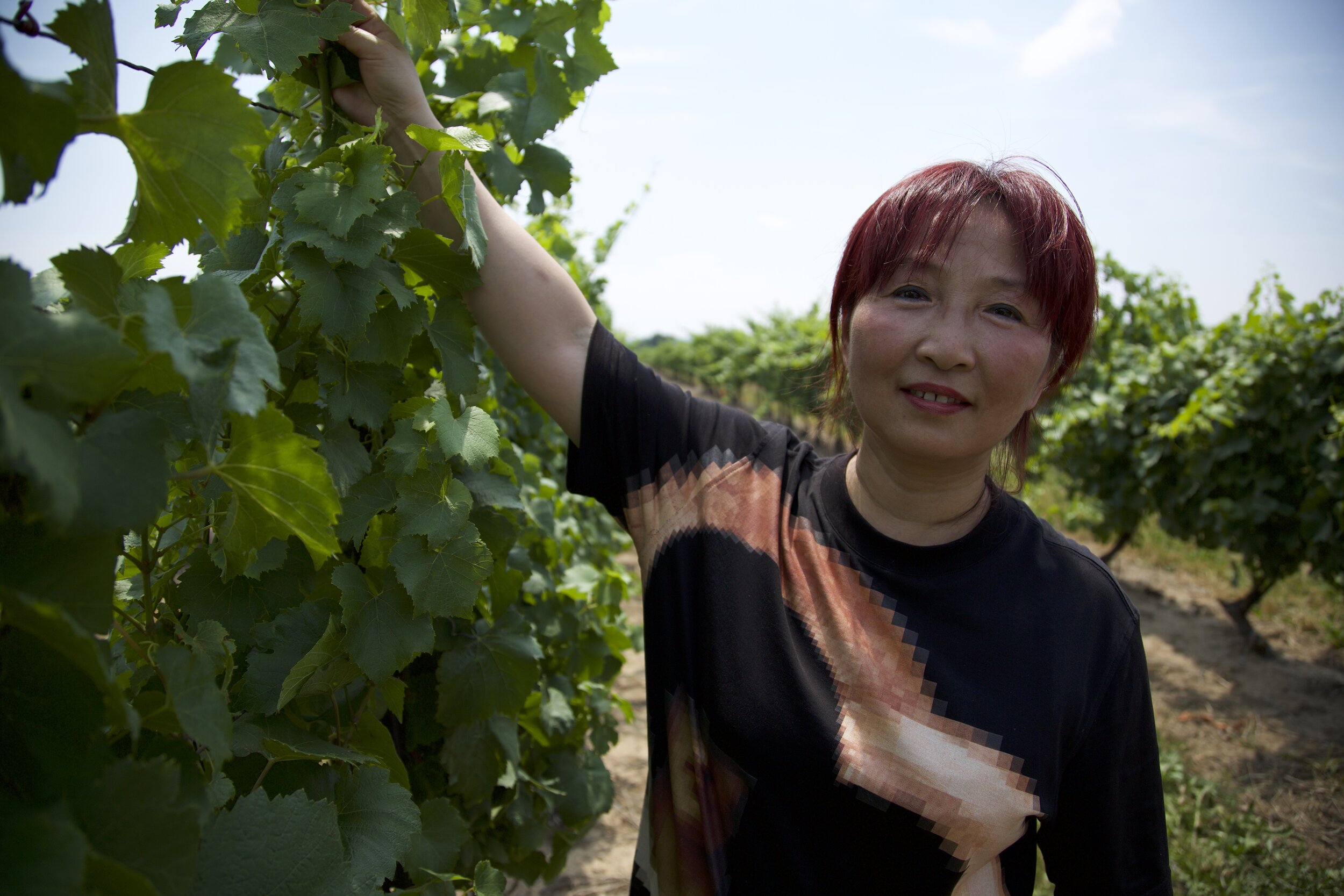 Farmland - Cathy Yang in the vineyard at Marynissen Winery I.jpg