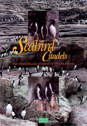 Seabird Citadels