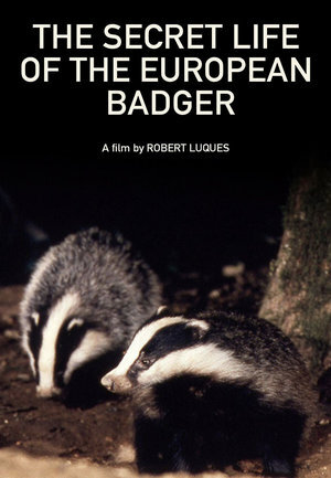 The Secret Life of the European Badger