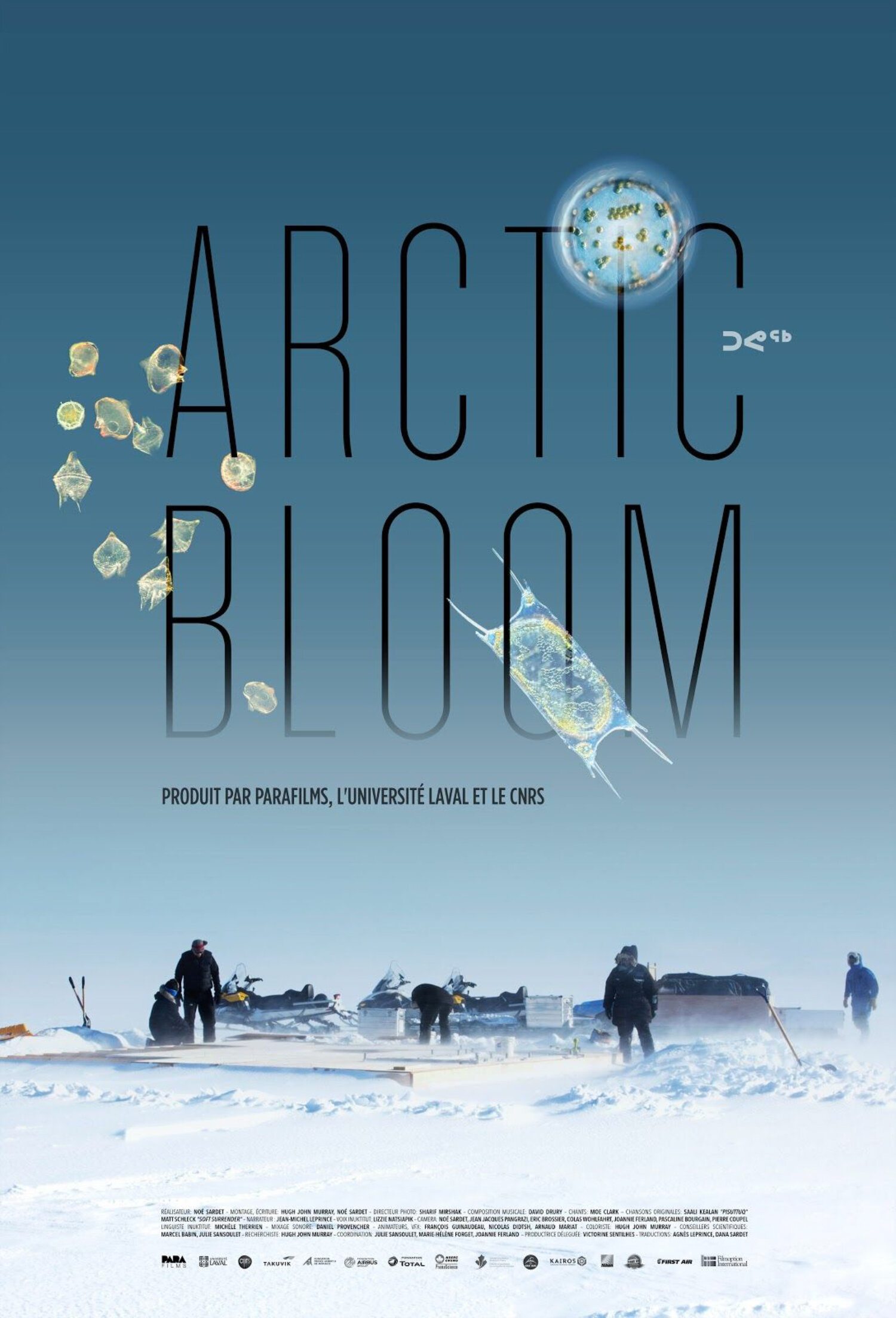 Arctic Bloom - 23'