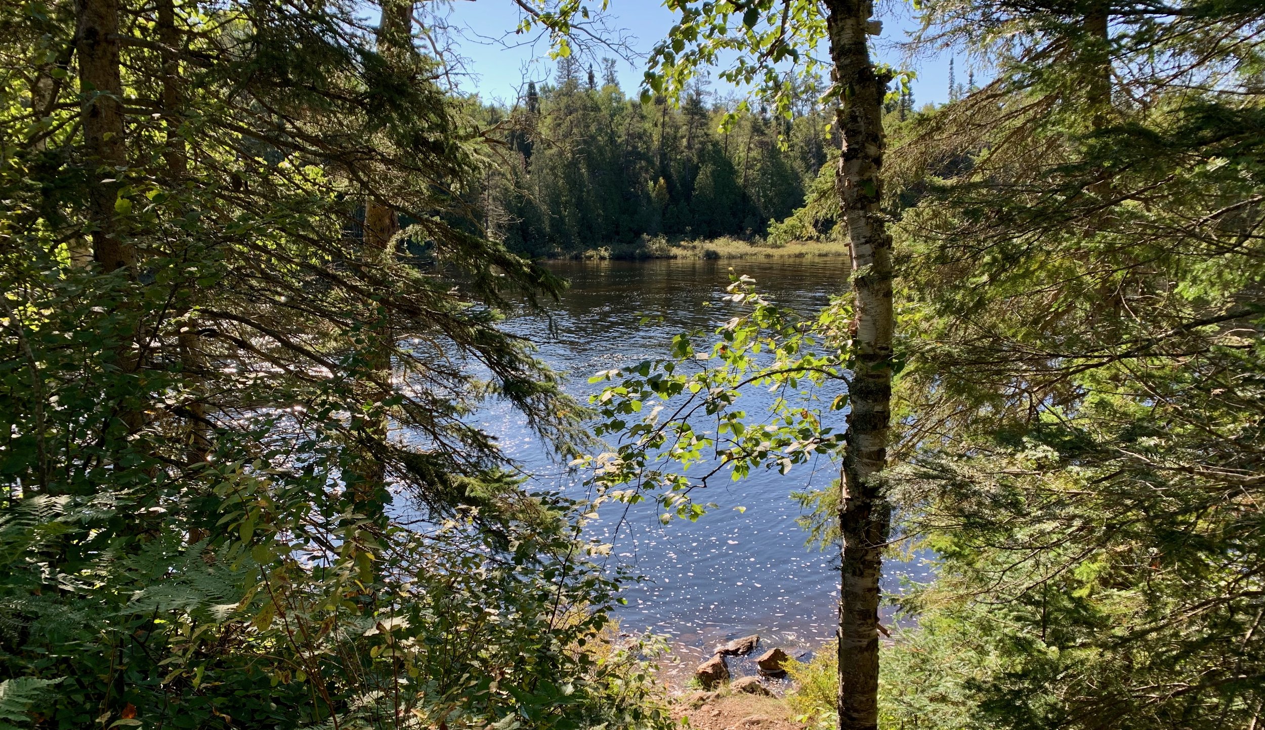 Boreal Beauty Northern Ontario 2 © Michael Zelniker.jpeg