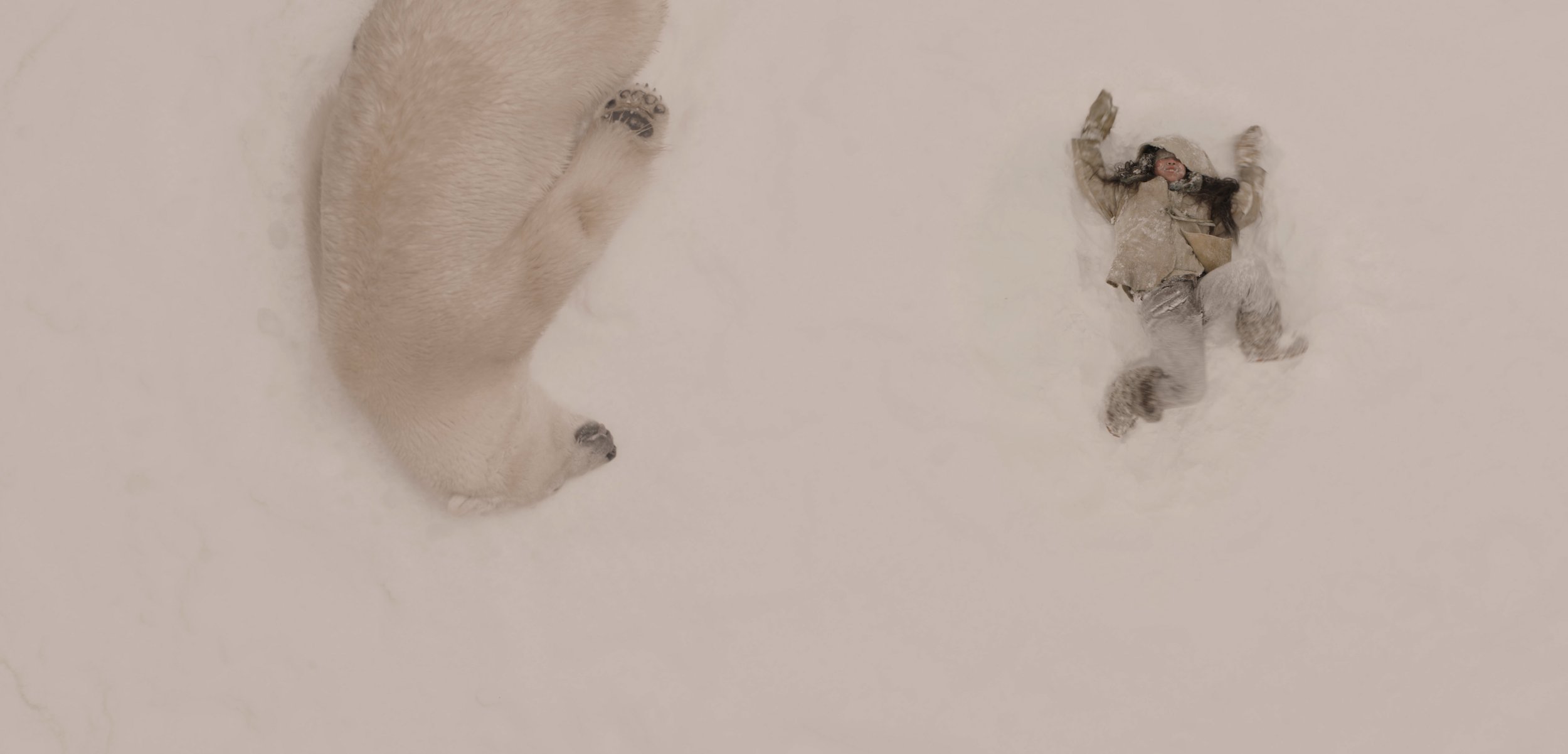 POLARIS - Mama Polar Bear (Agee) and Sumi (Viva Lee) play in the snow.jpg