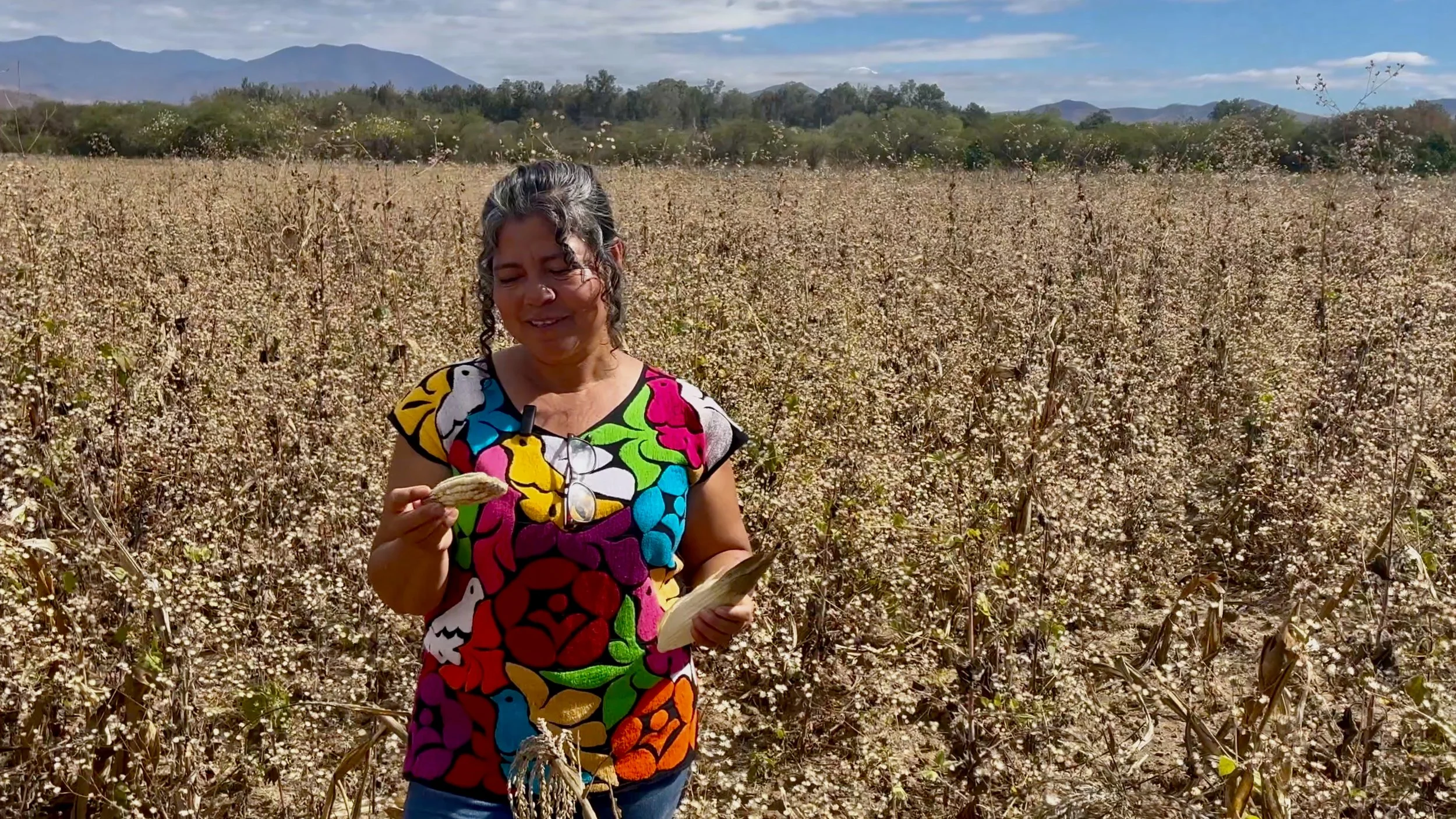 The-Struggle-for-Mother-Water-Gema-Oaxaca-Mexico-Dry-Corn-Field.jpg