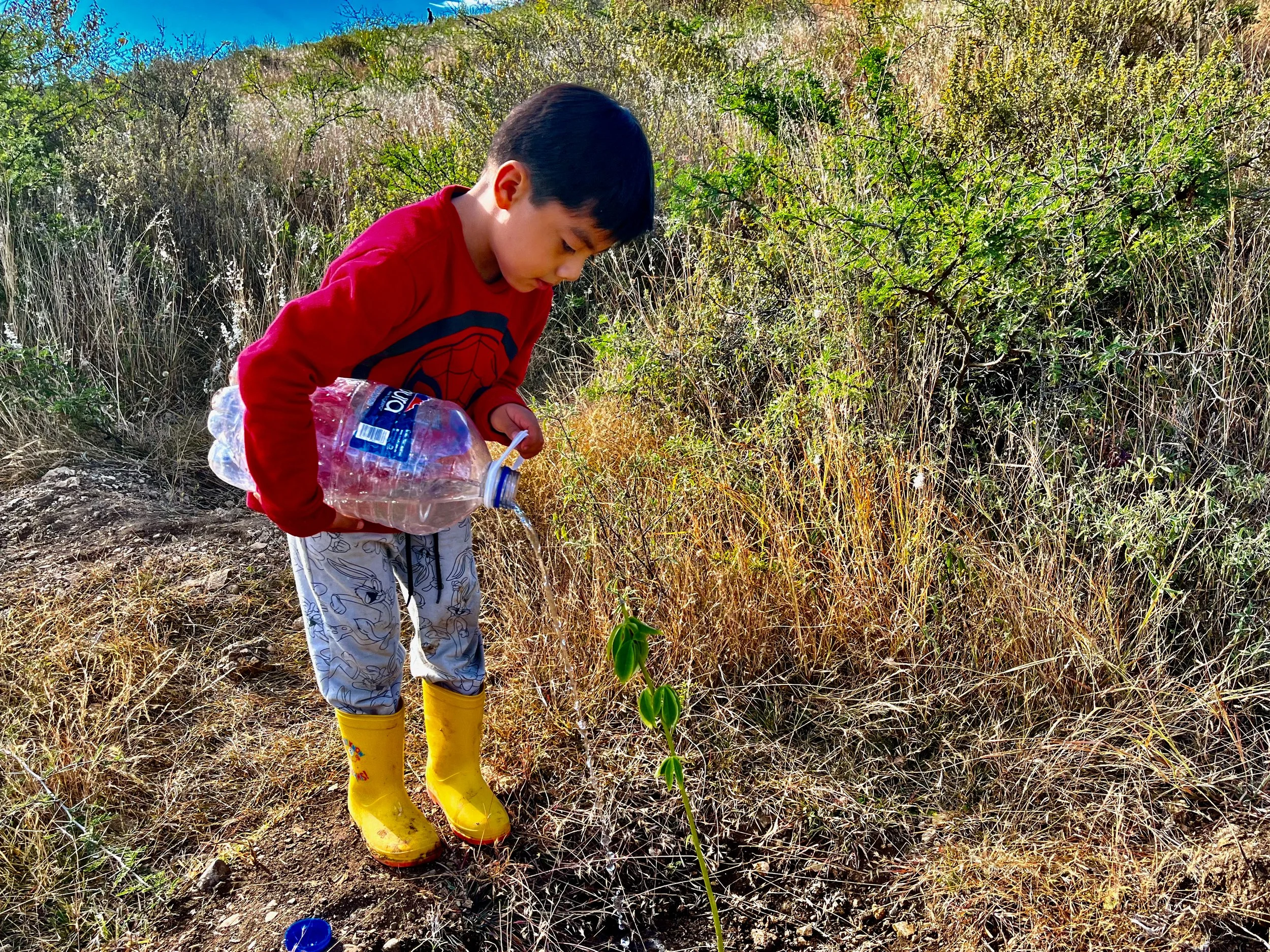 The-Struggle-for-Mother-Water-Boy-Watering-Plant-Oaxaca-Mexico.jpg