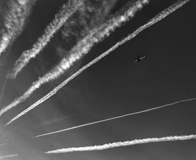 A sky of flights - and a flight of wine 🍷. Now grounded at my mums drinking milk🥛 .
.
.
.
#roamtheplanet
#lifewelltravelled
#traveldeeper
#travelphotos 
#travelpics
#travelstroke
#travelphoto
#travelporn 
#iamatraveler 
#worldingram 
#wanderer
#wor