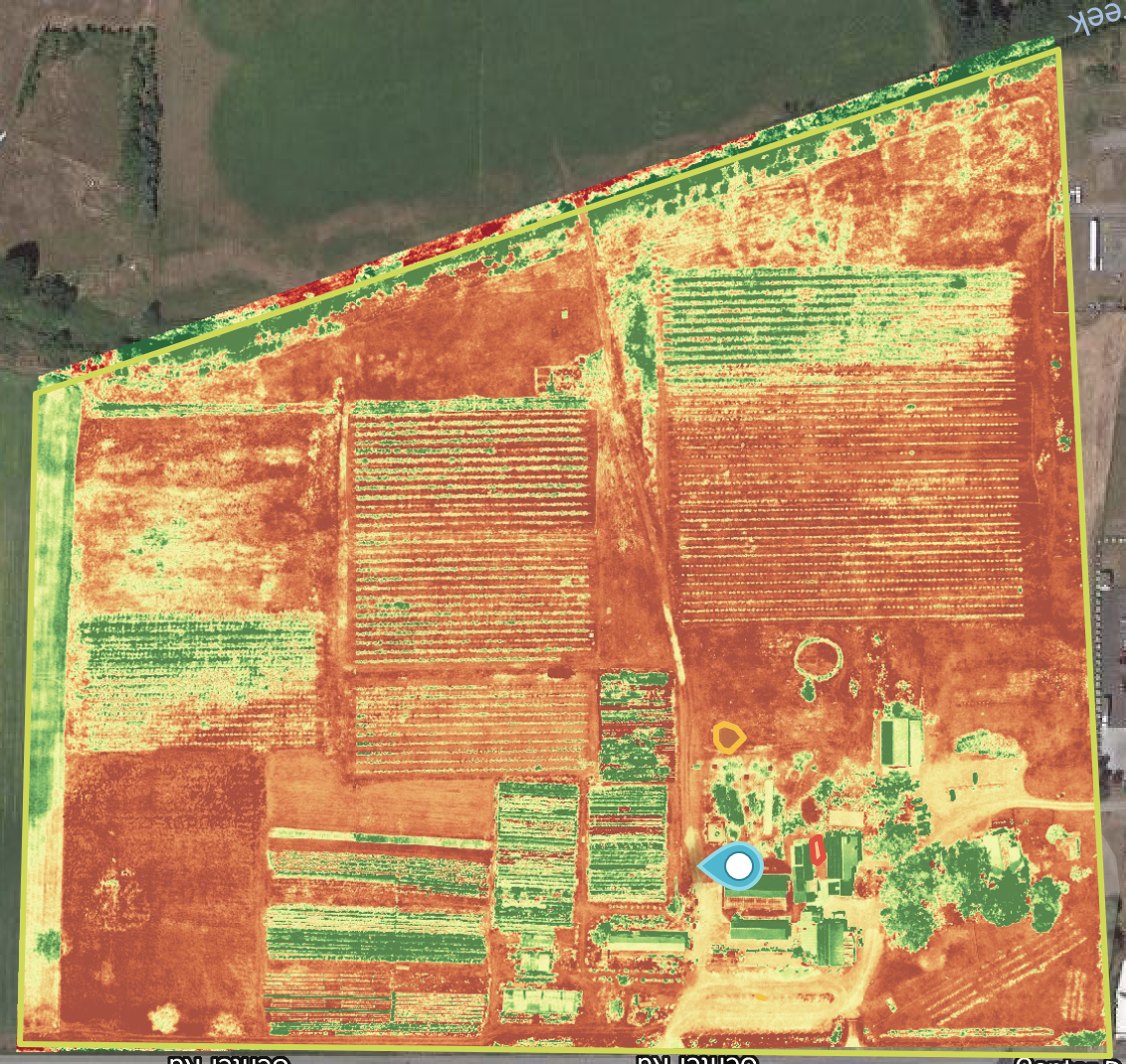 Screen Shot 2018-11-17 at 12.57.15 PM.png