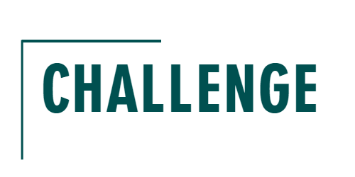 challenge (2).png