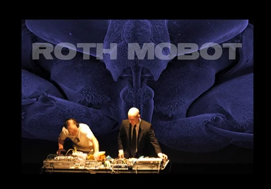 Roth+Mobot+copy.jpg