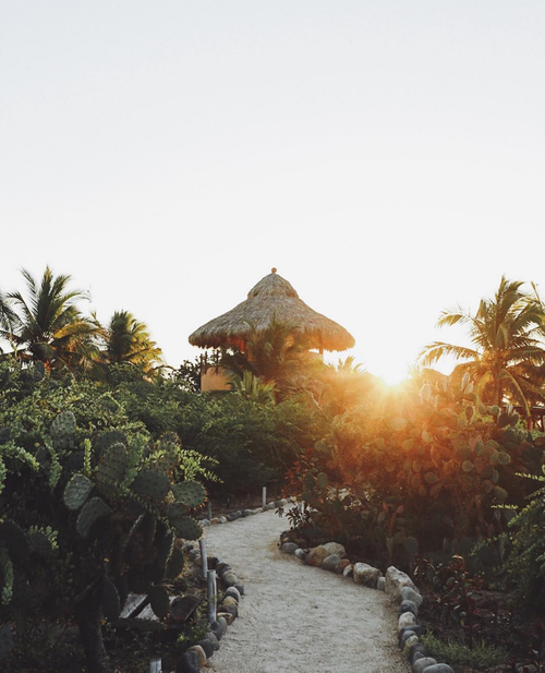 Playa+Viva+Mexico+by+Sam+Griggs-1.png