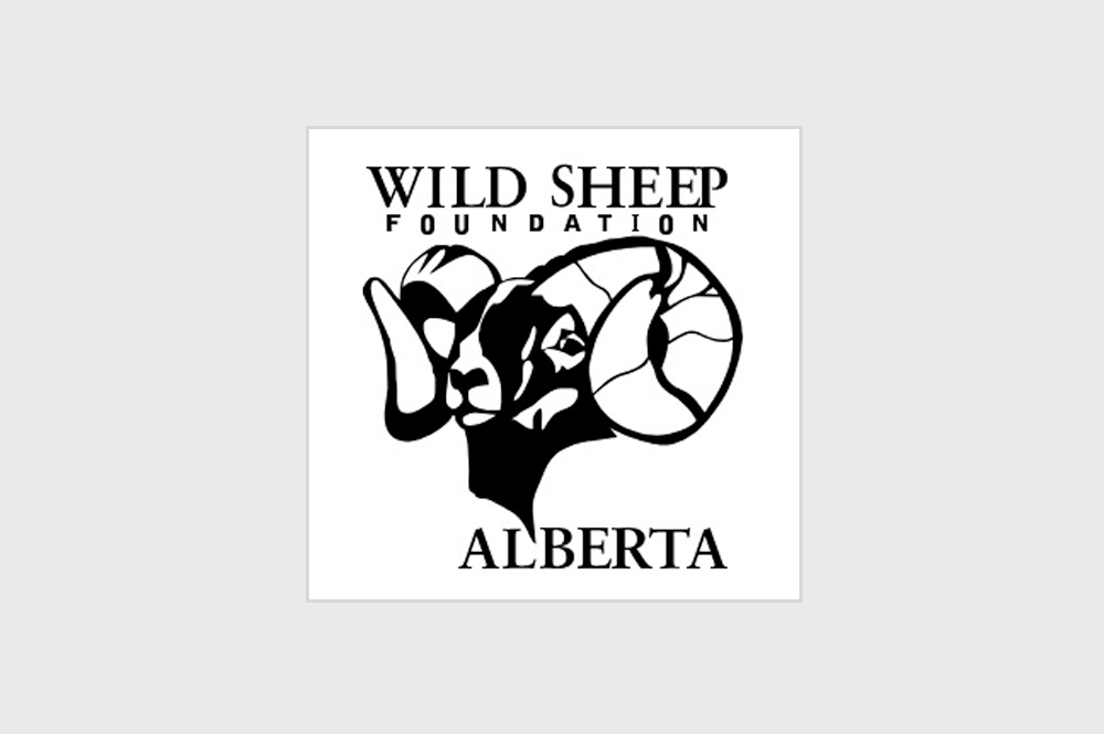 Wild Sheep Foundation of Alberta Together we can Ensure the Future of Wildlife