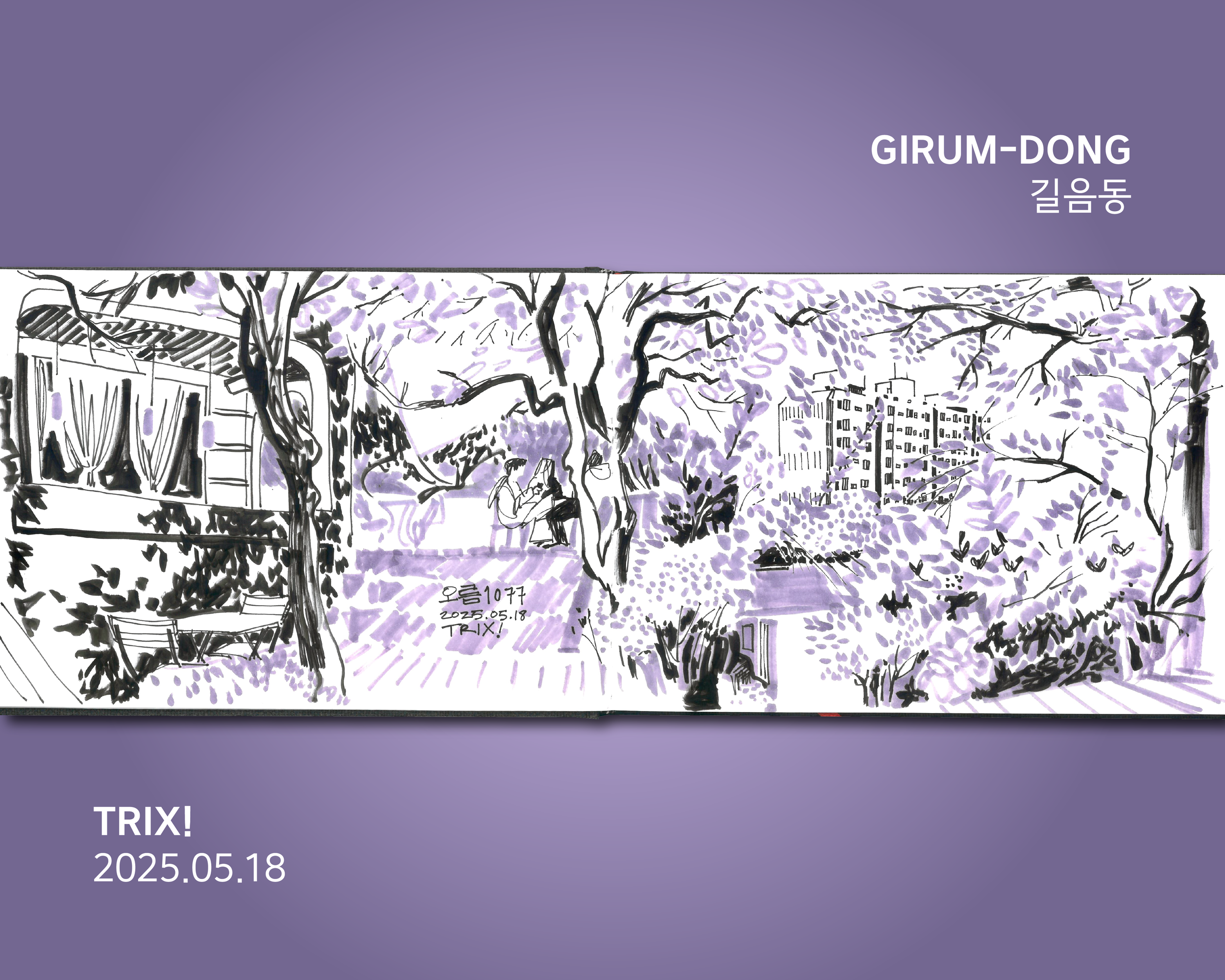 girum 1.png