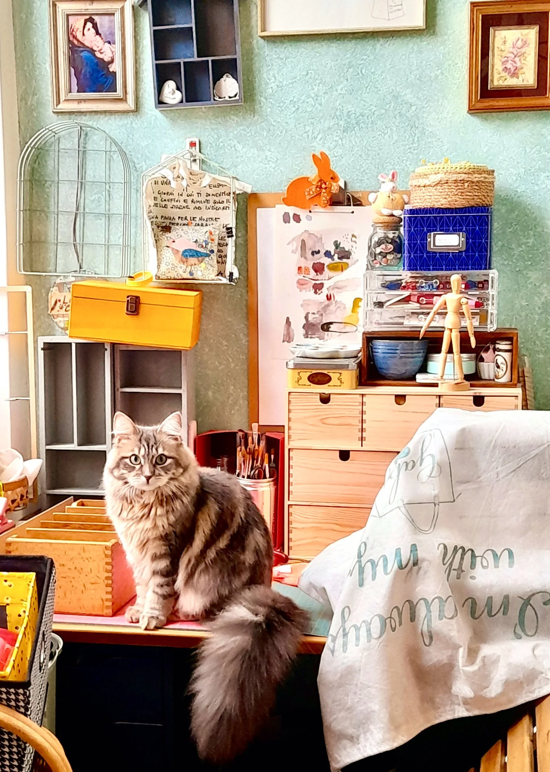 January recap - Thrifted treasures and new illustrations 