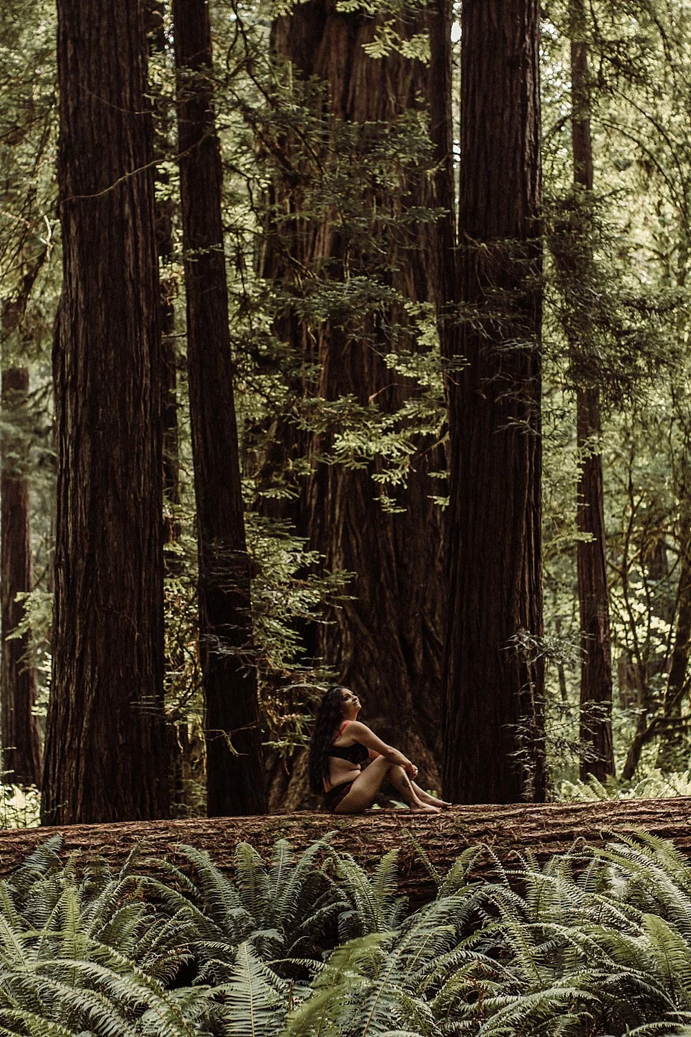woman-sits-on-fallen-tree-at-Patricks-Point-State-Park.jpg