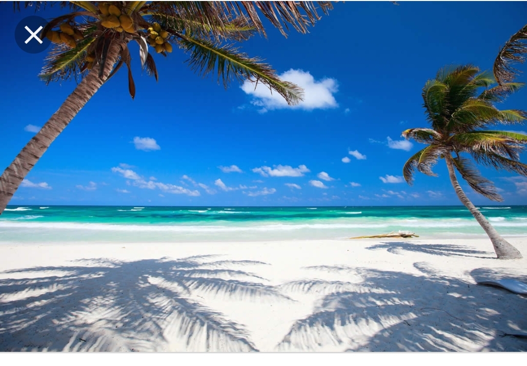 Screenshot_20190812-141357_Chrome.jpg