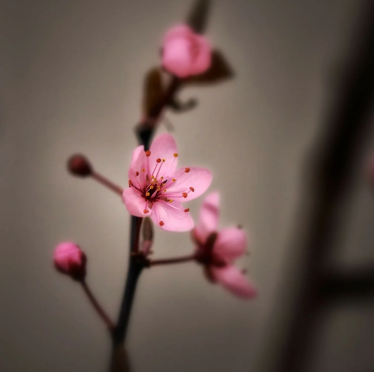 meditation-become-facinated-in-with-your-existence-by-peaceful-island-com.jpg