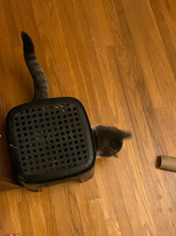 "I Just Don't Know Where to Start!"