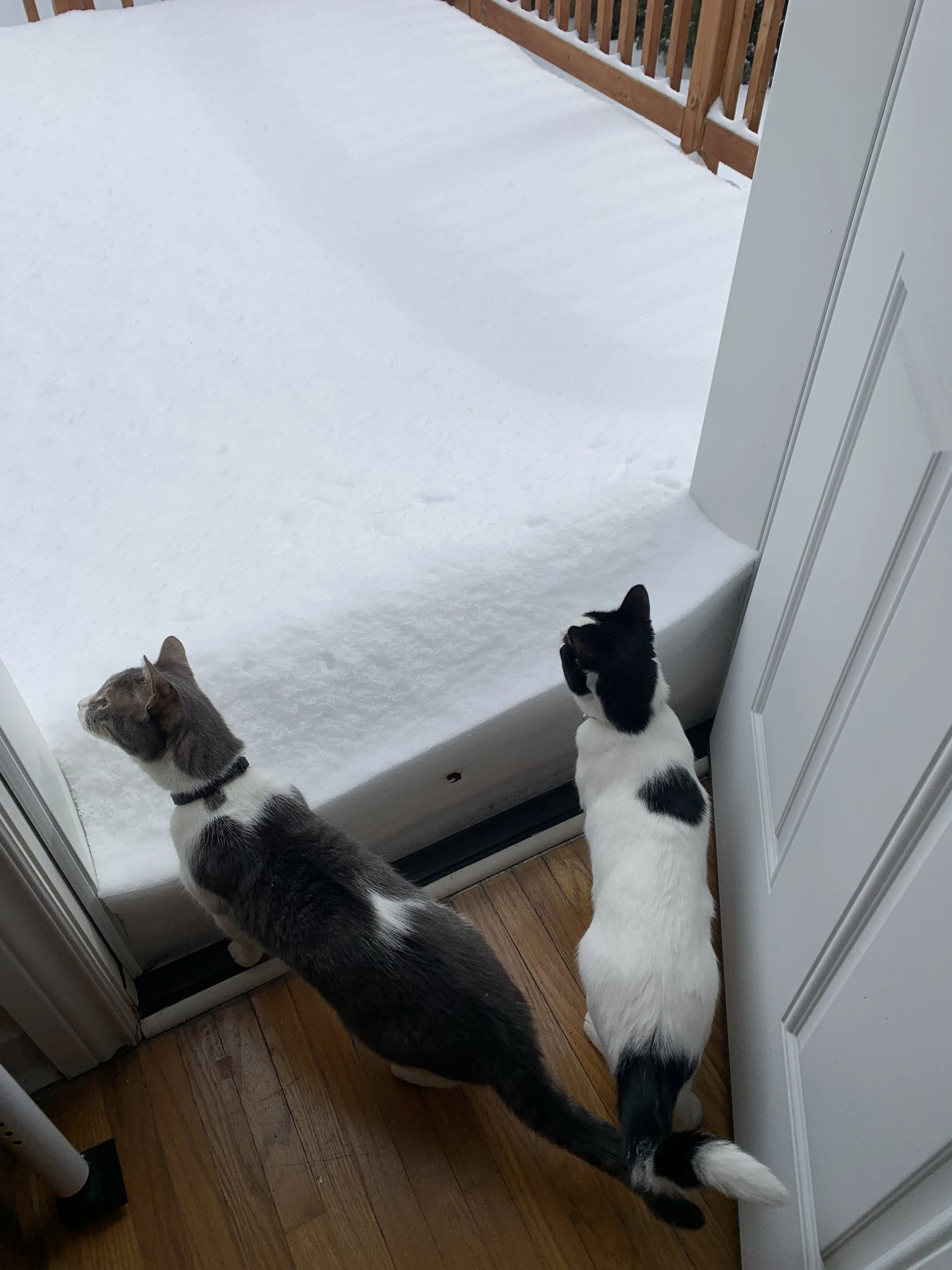 Growing Up Without Religion