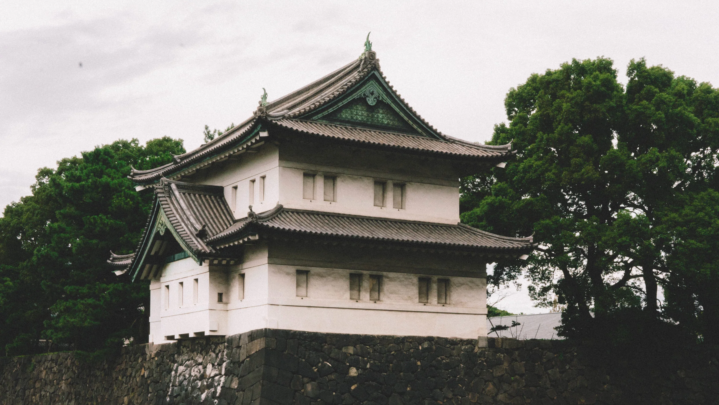 _DSC9747.jpg