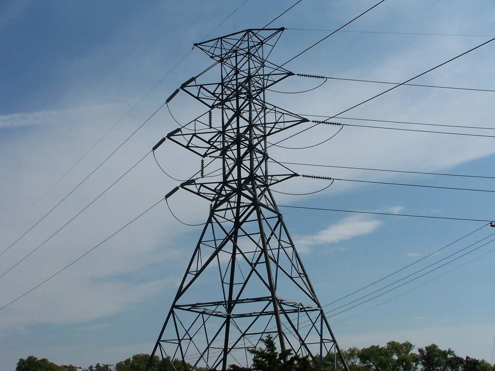 power line.jpg