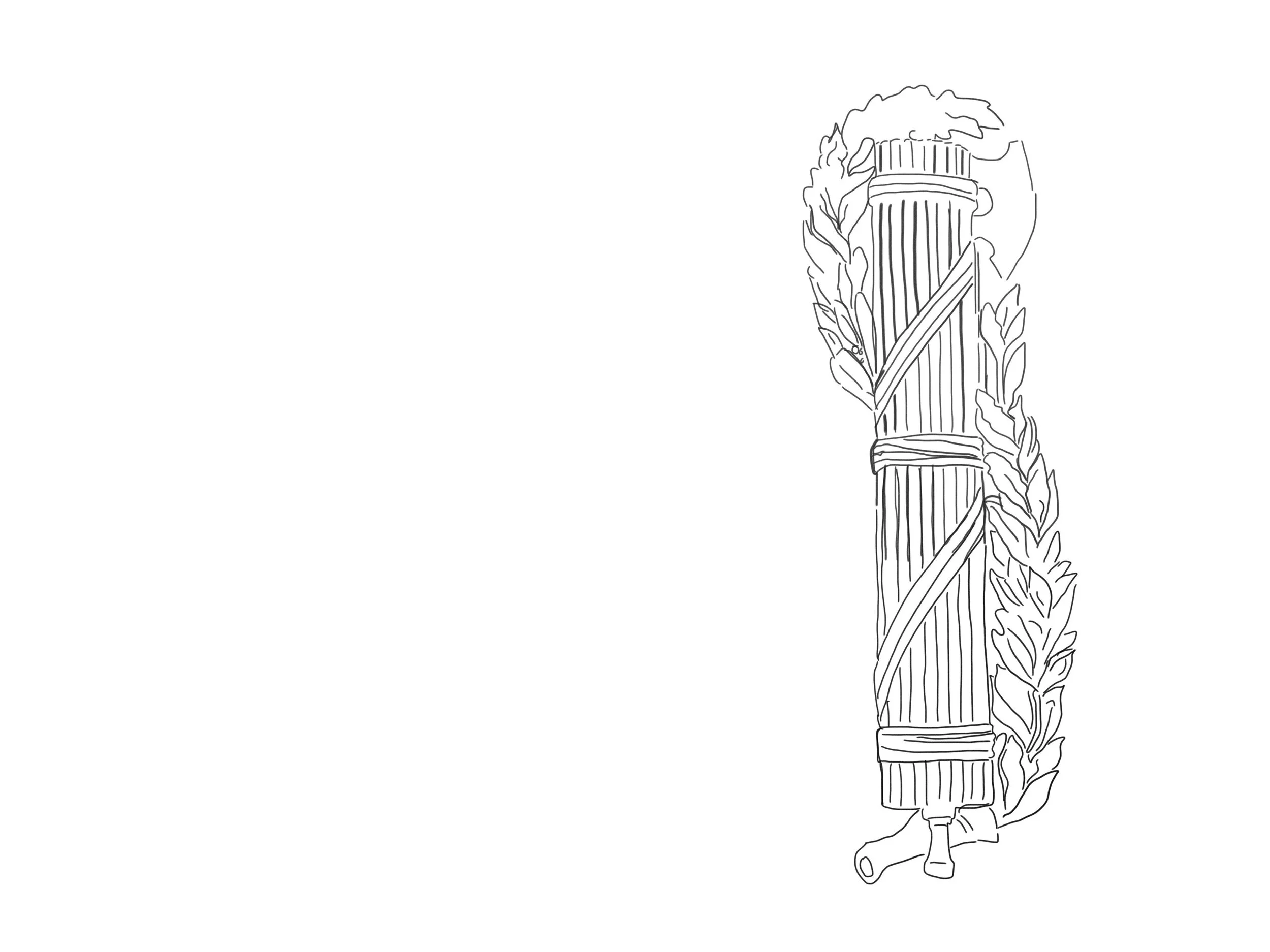 PNG image-699D29560D2B-1.JPG