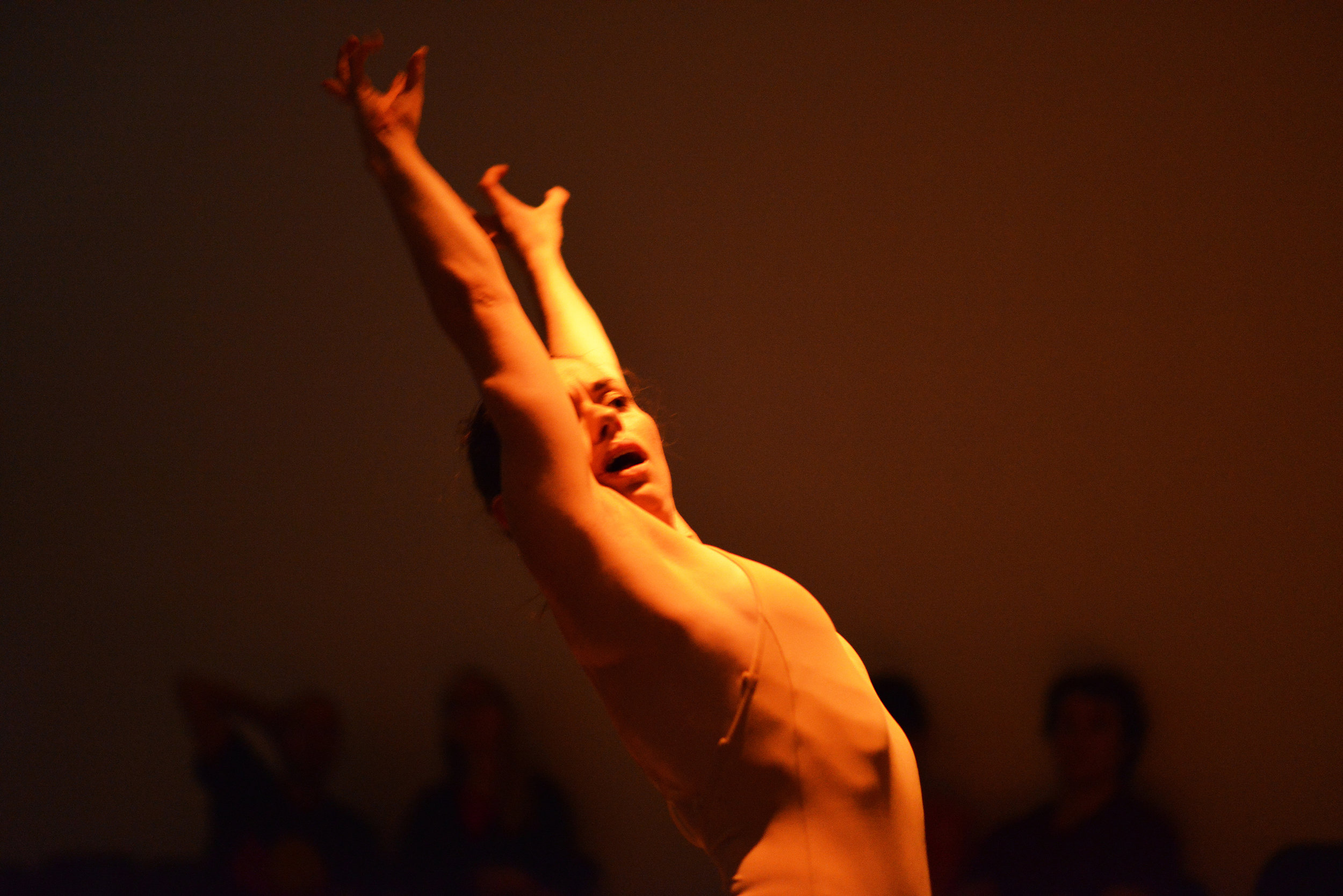 DSC_2743.jpg