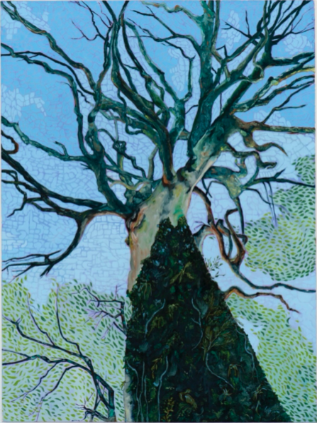 Project 104 - Lara Hattingh, Locations of Interest: Summer  2026 