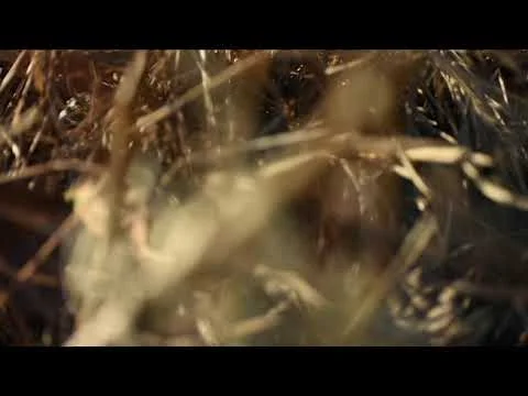 Local Lake-Kelly Marie Ulrich