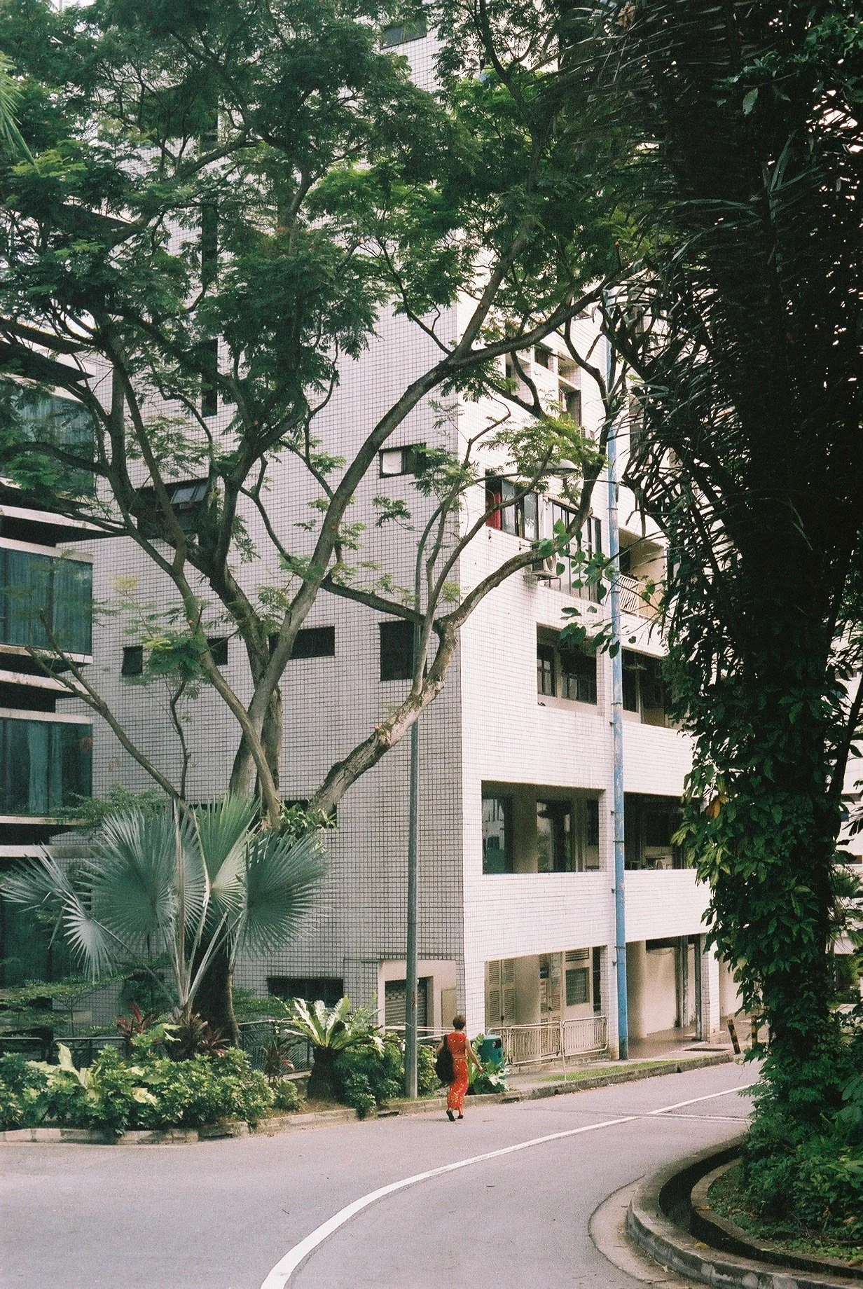 Copy of F1010008.JPG