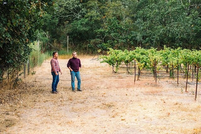 R: Aaron, did you hear there are THREE more days to buy the 2018 Red Field Blend?
A: Oh,  I'll head to the online store lickity split. 
R: Atta boy, thanks for the support.
A: Anything to support organically farmed, hand crafted, artisanal wines from