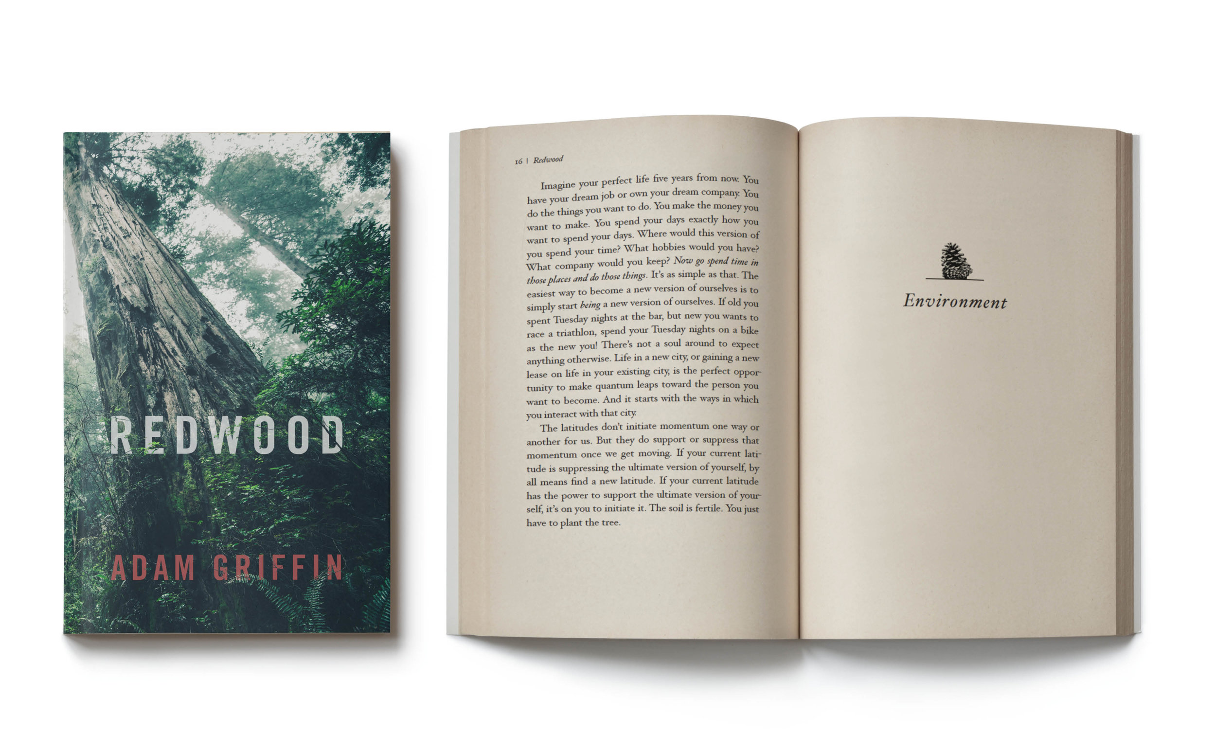 Redwood, by Adam Griffin (2015)