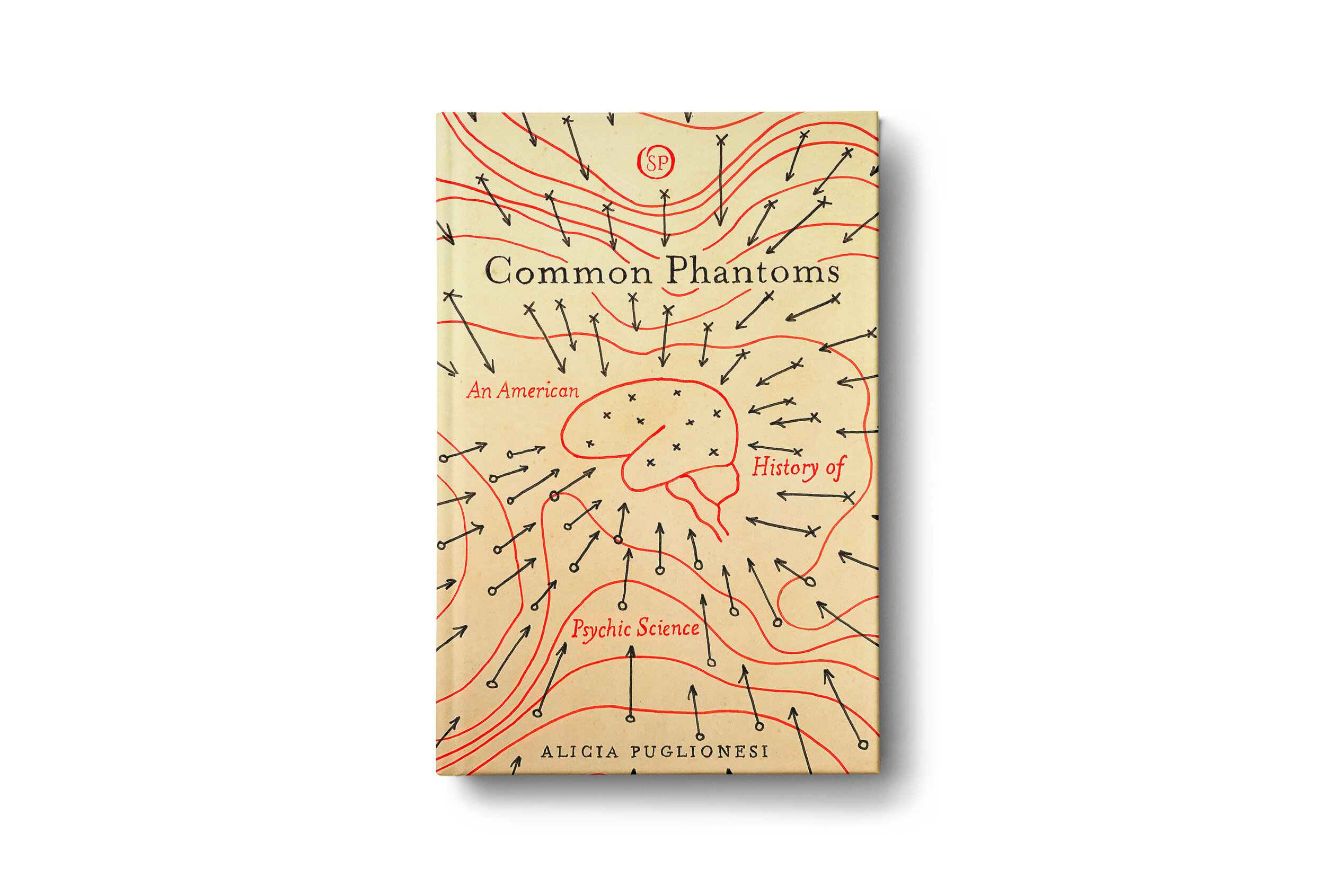 Common Phantoms, by Alicia Puglionesi (Stanford, 2020)