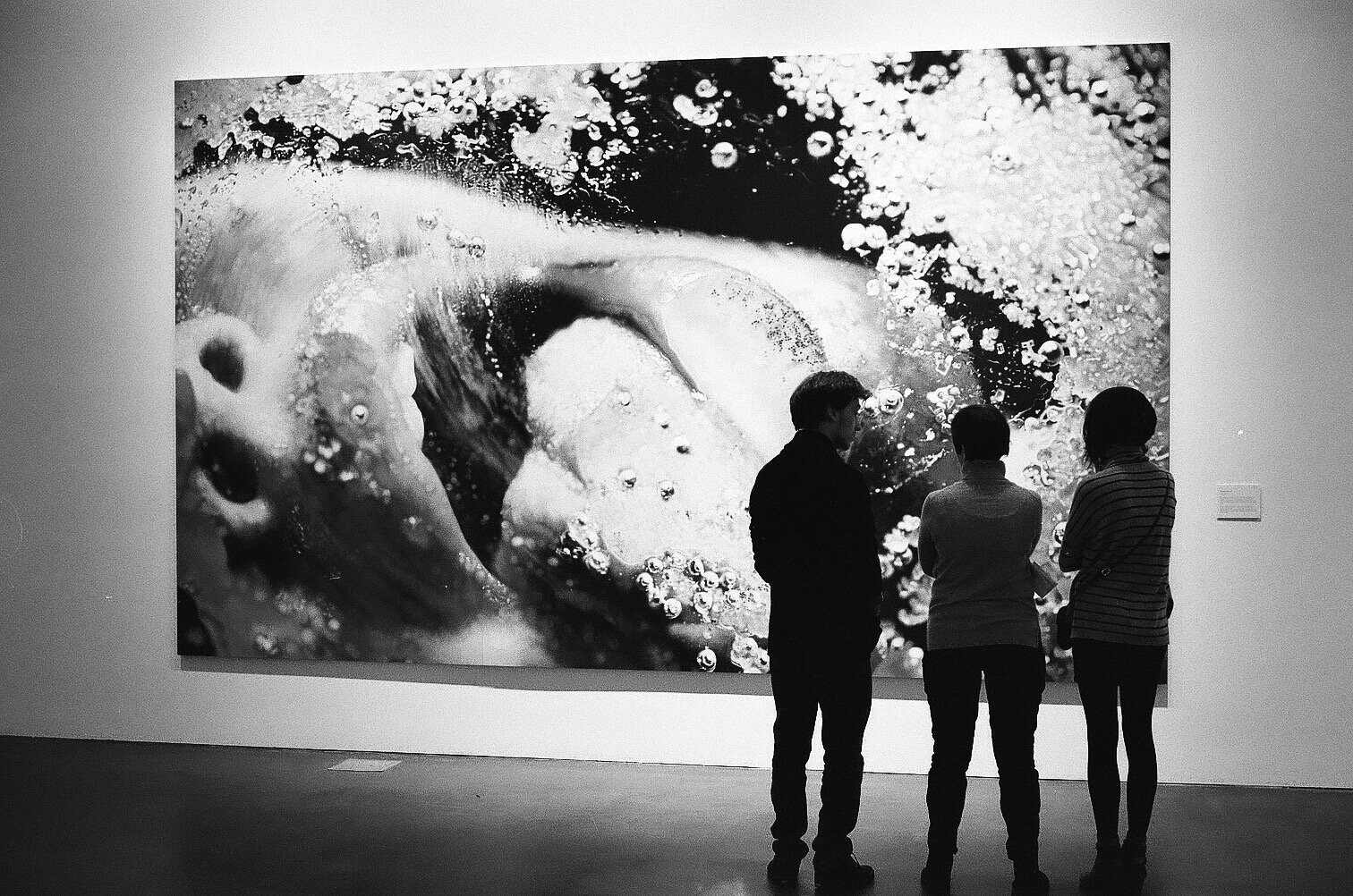 Conor, Martha, Emma, and Marilyn Minter, 2016