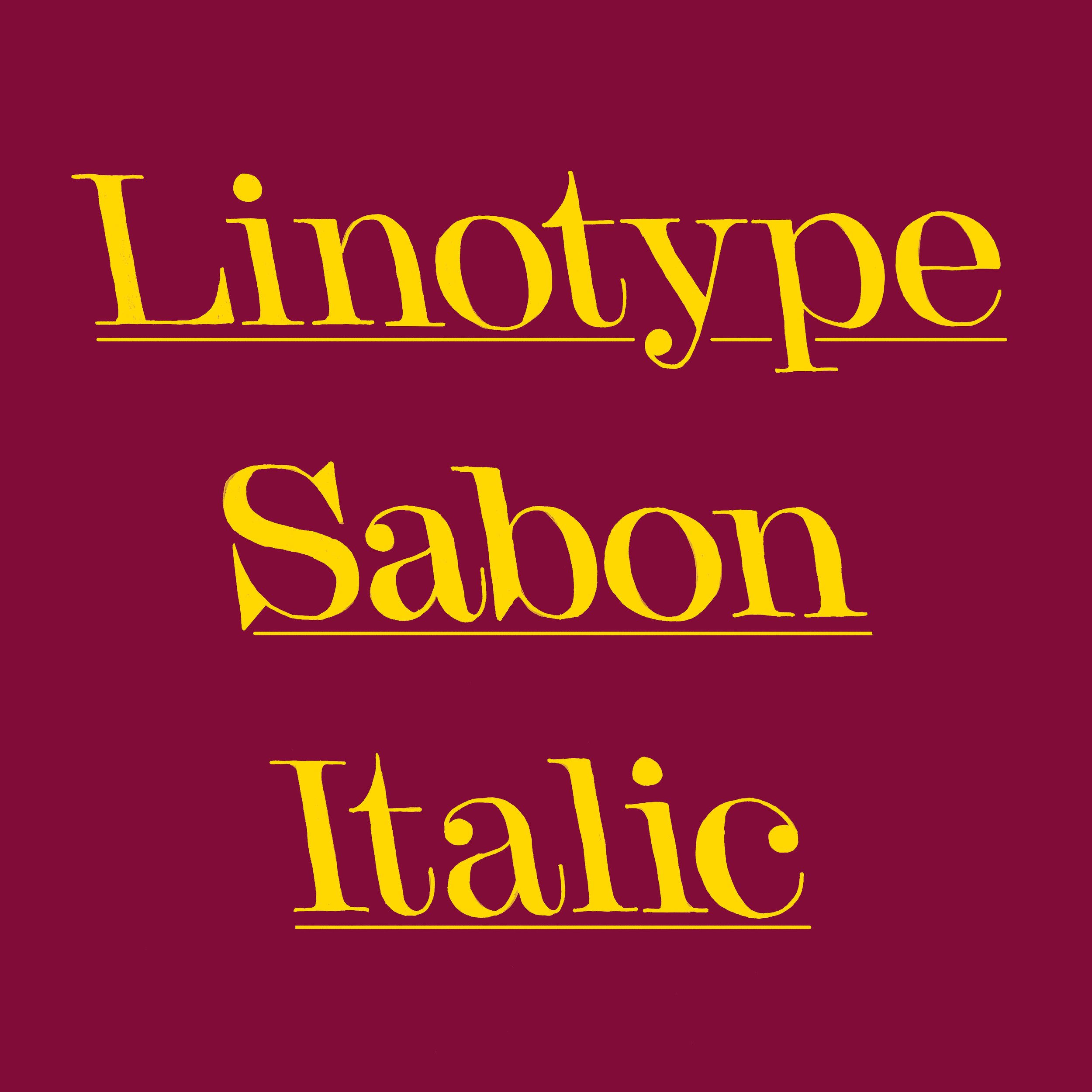 LT_Sabon-Italic_typecooker.jpg