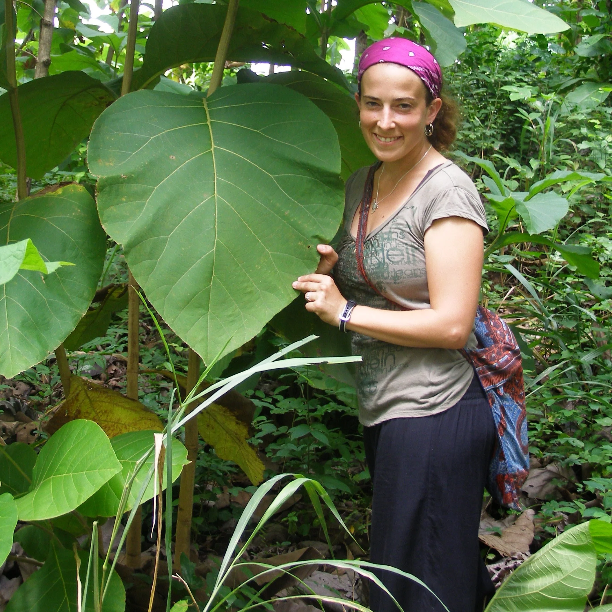 A Conversation with the American Society for Adaptation Professionals