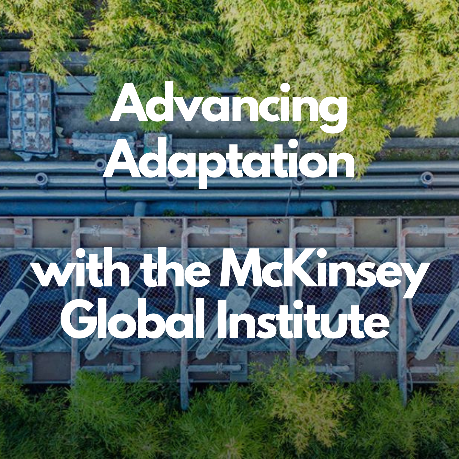 Advancing Adaptation with the McKinsey Global Institute