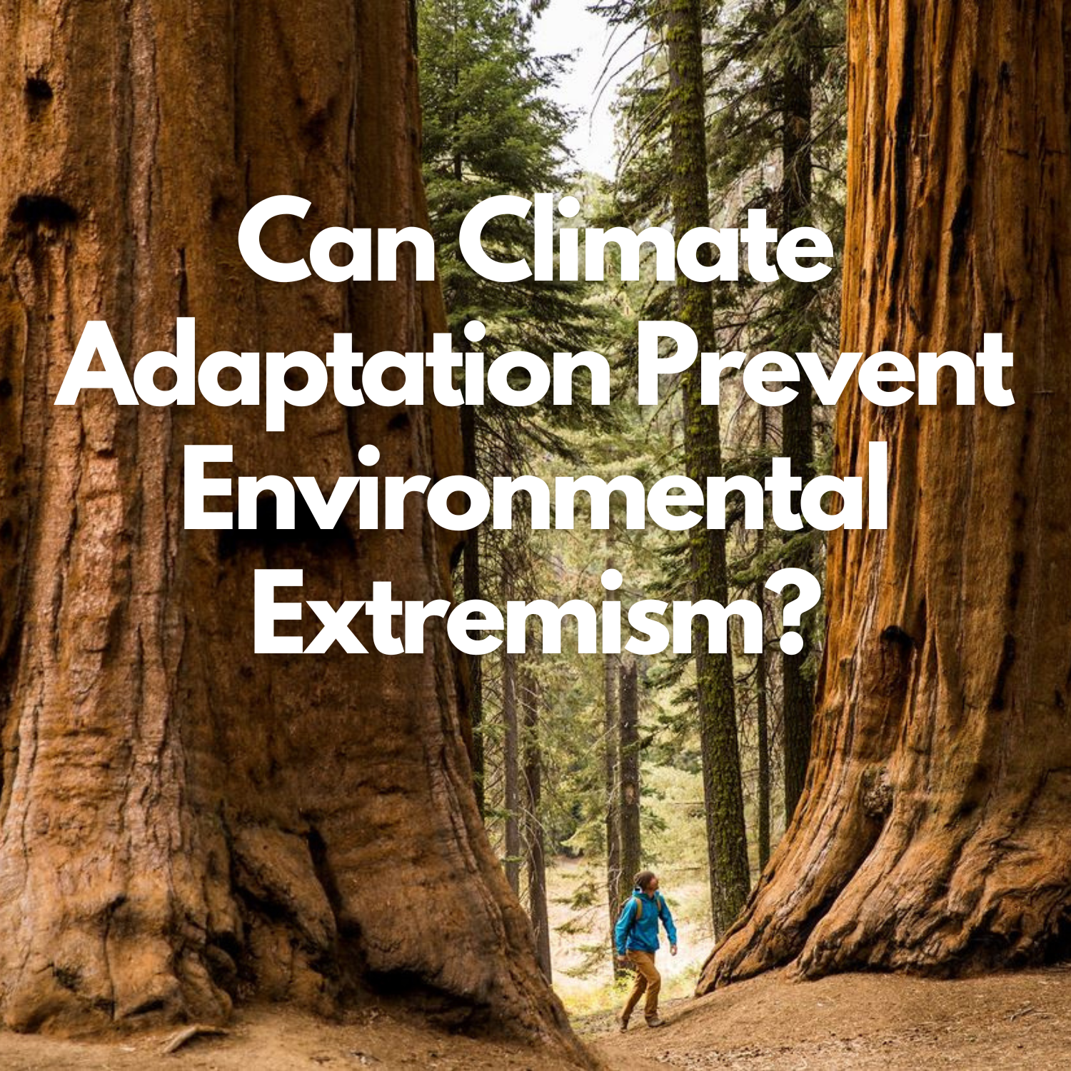 Can Climate Adaptation Prevent Environmental Extremism—or Just Delay It?