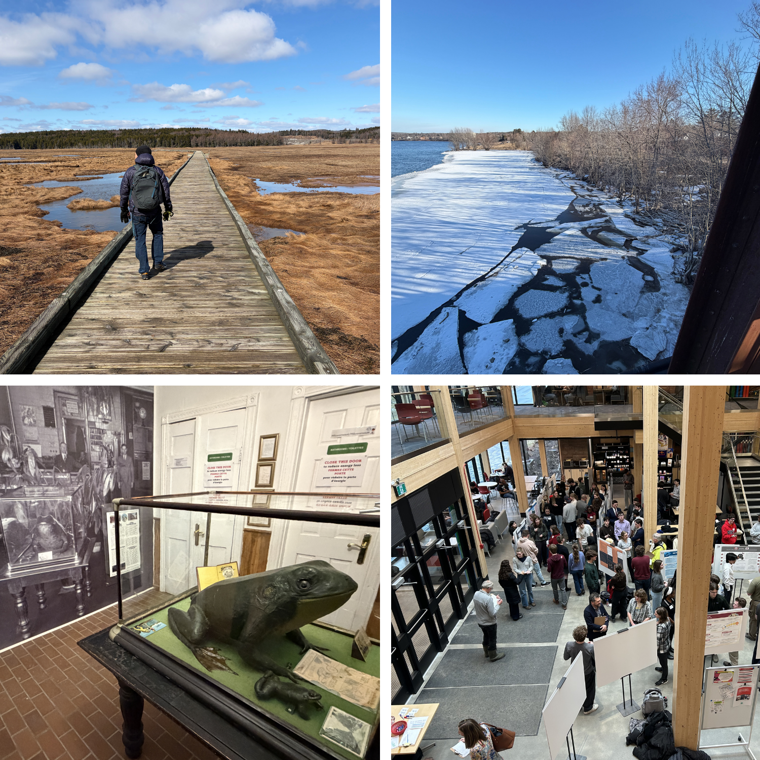 Need Some Climate Inspiration? Head North to Canada