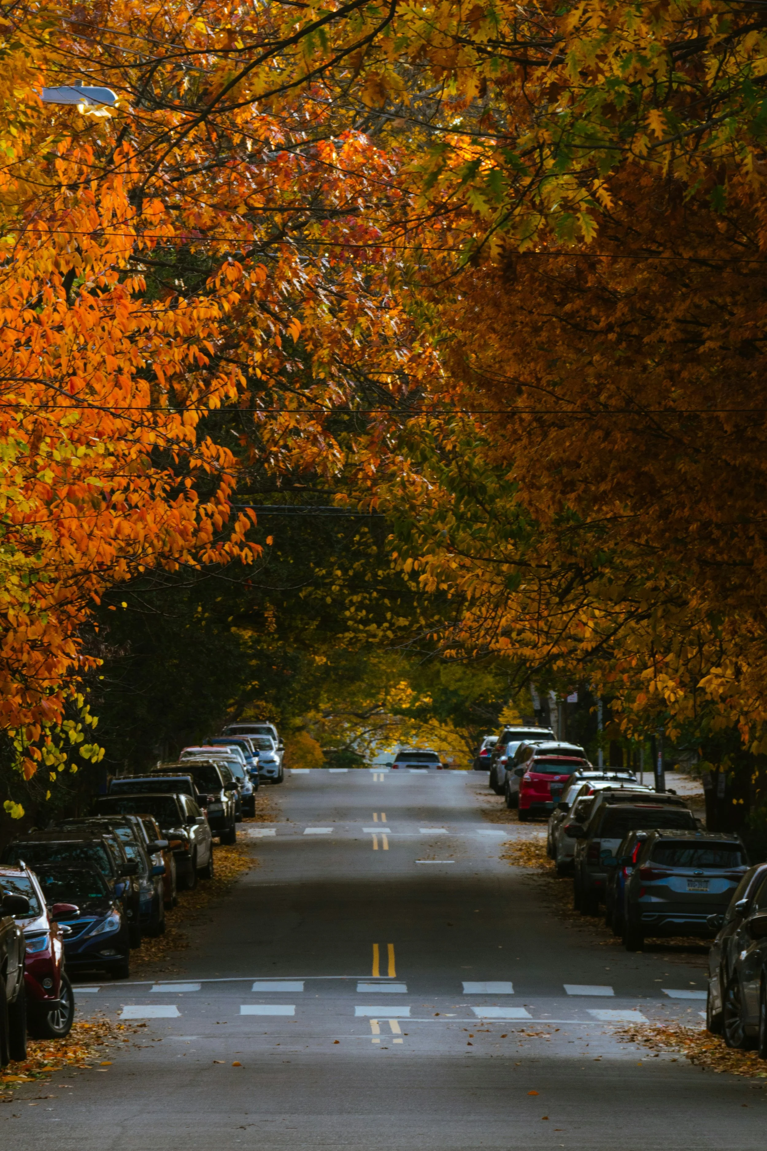Fall Activities in Philadelphia 2026