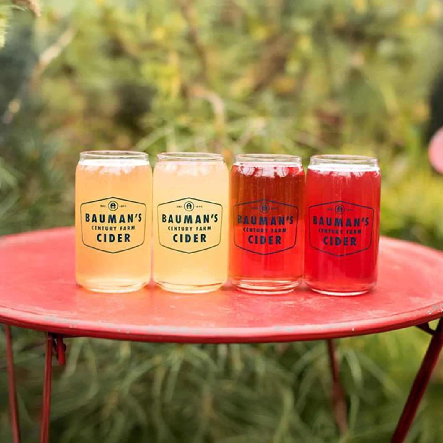 BAUMANS02_0014_Generative Fill 2.jpg