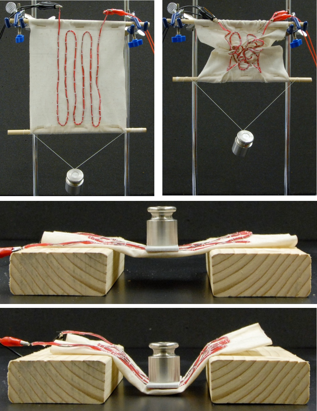 SplashFigure No Scale Bar.png