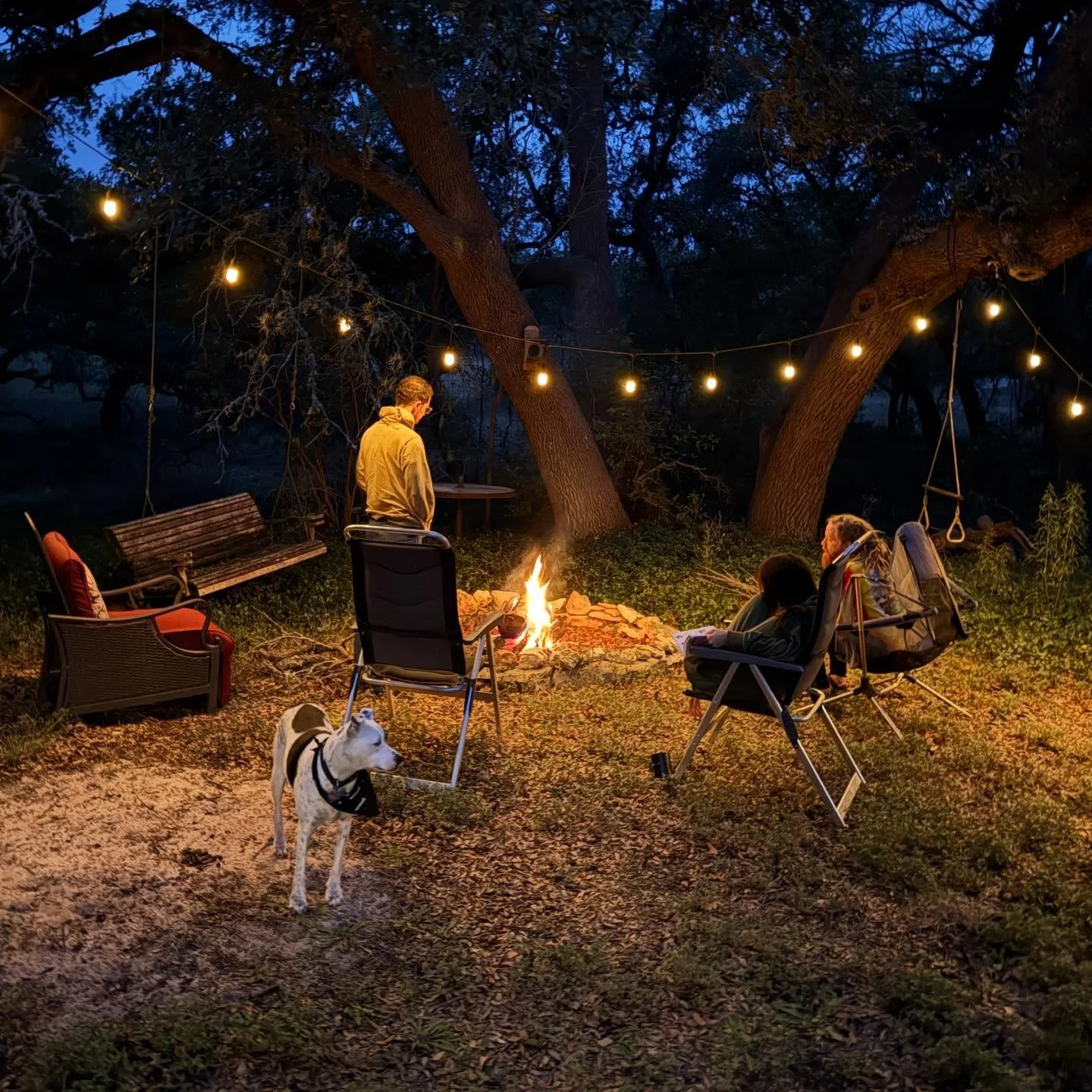 Happy Thanksgiving from our family to yours. 🍂