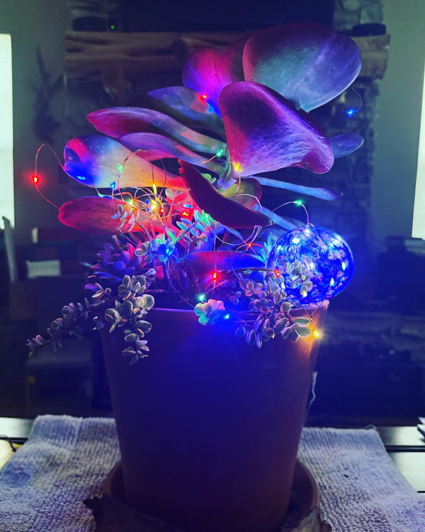 This is for the single parents who are the only branch on their family tree.

I just dropped my kid off at school. Because of the standard possession order where I live, I won&rsquo;t see Sequoia again until the 28th. I don&rsquo;t have extended fami