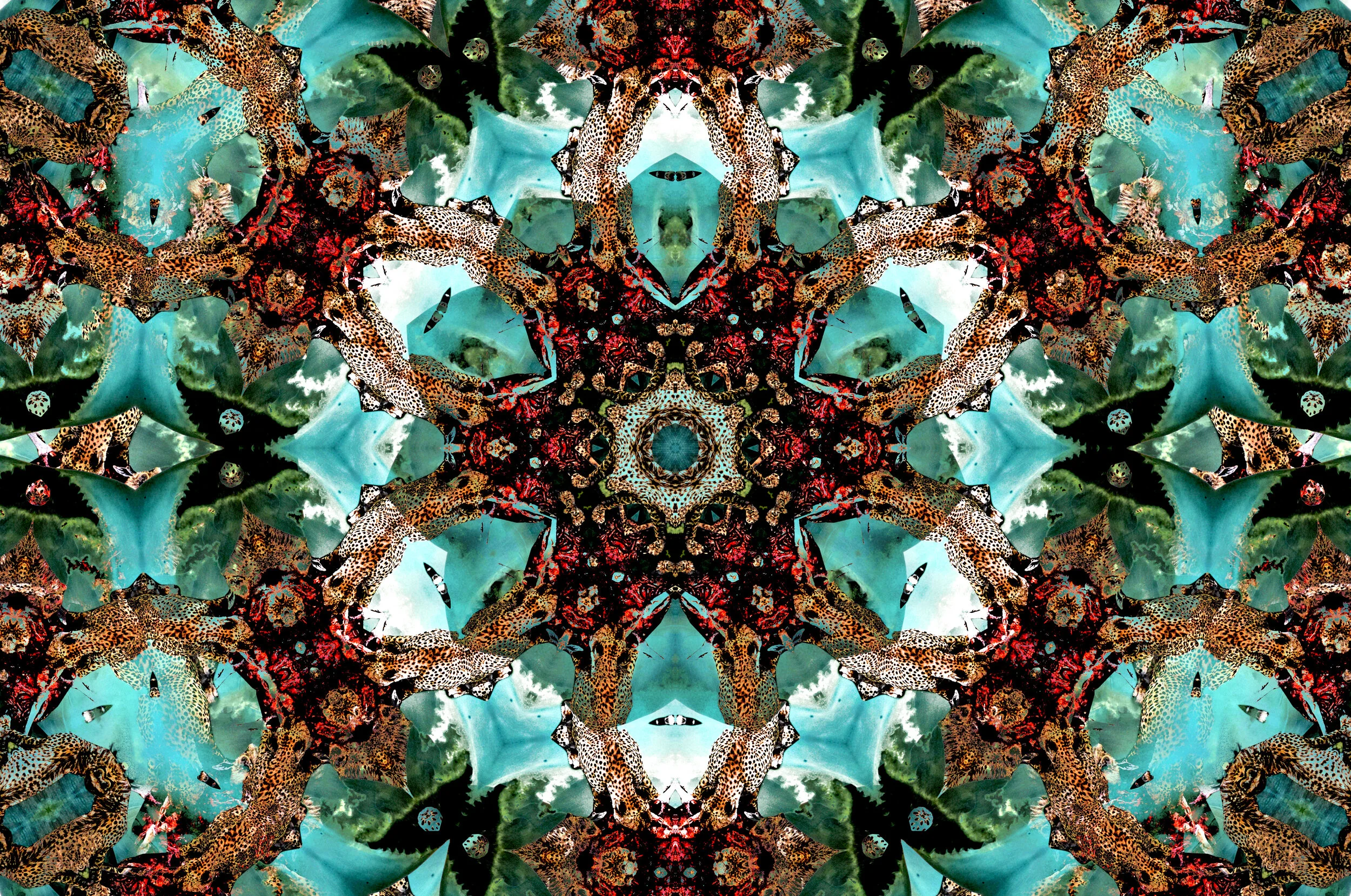 mandala21.JPG
