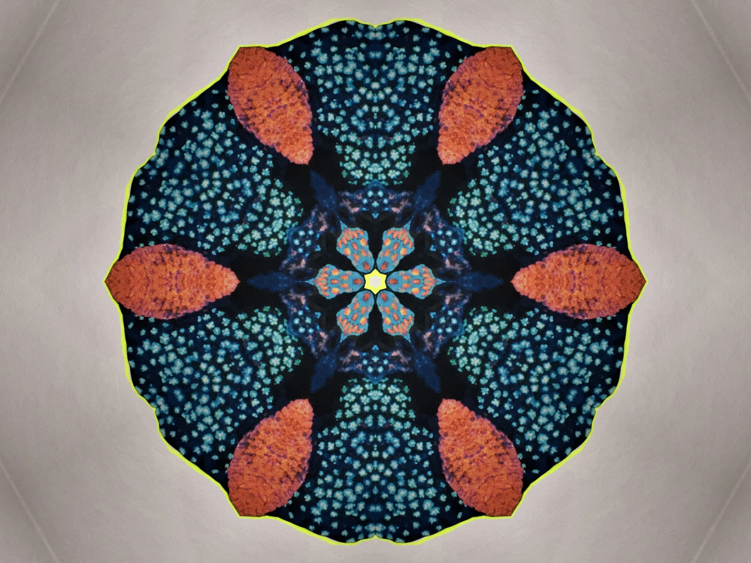 mandala10.jpg