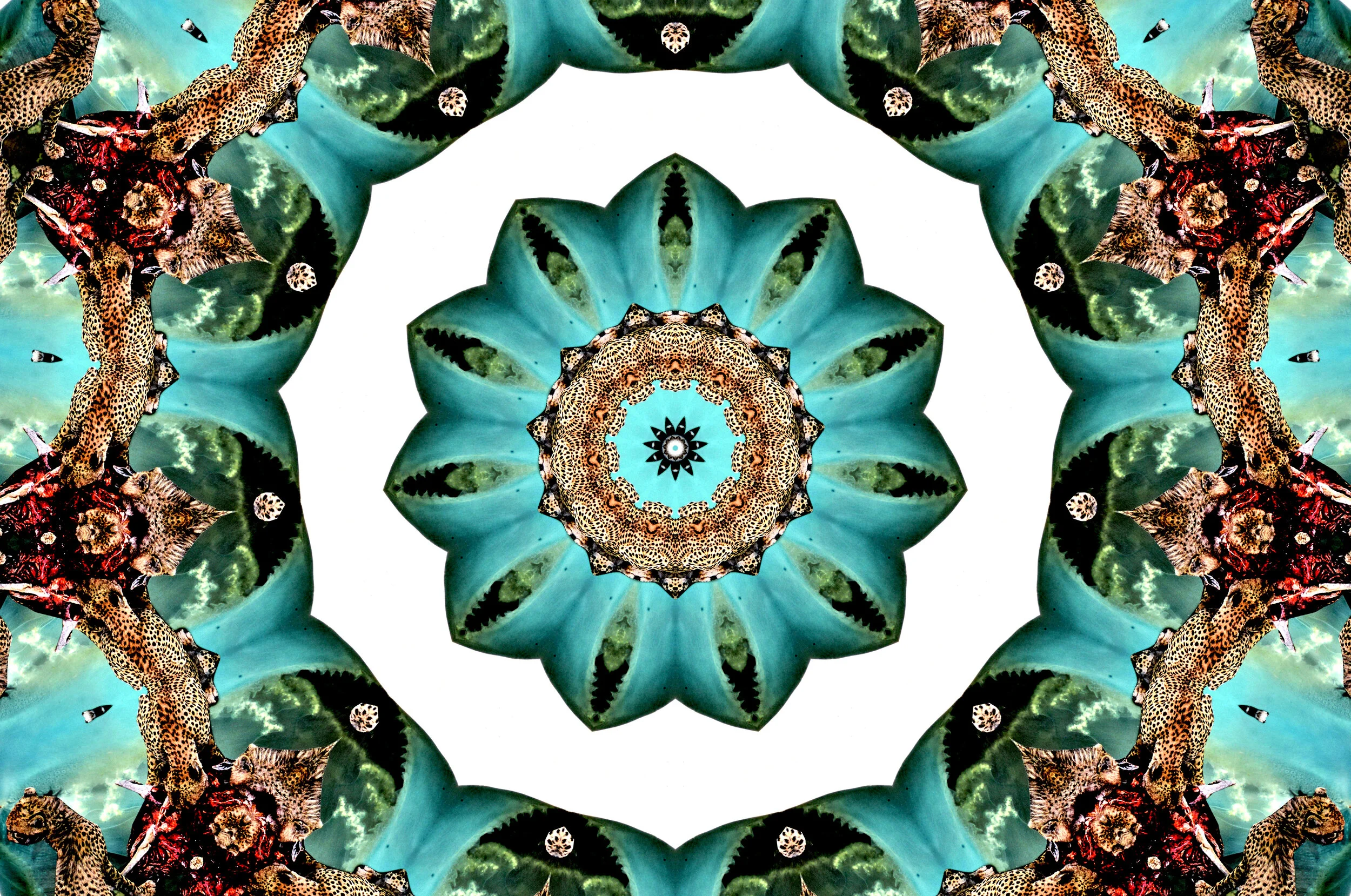 mandala22.JPG