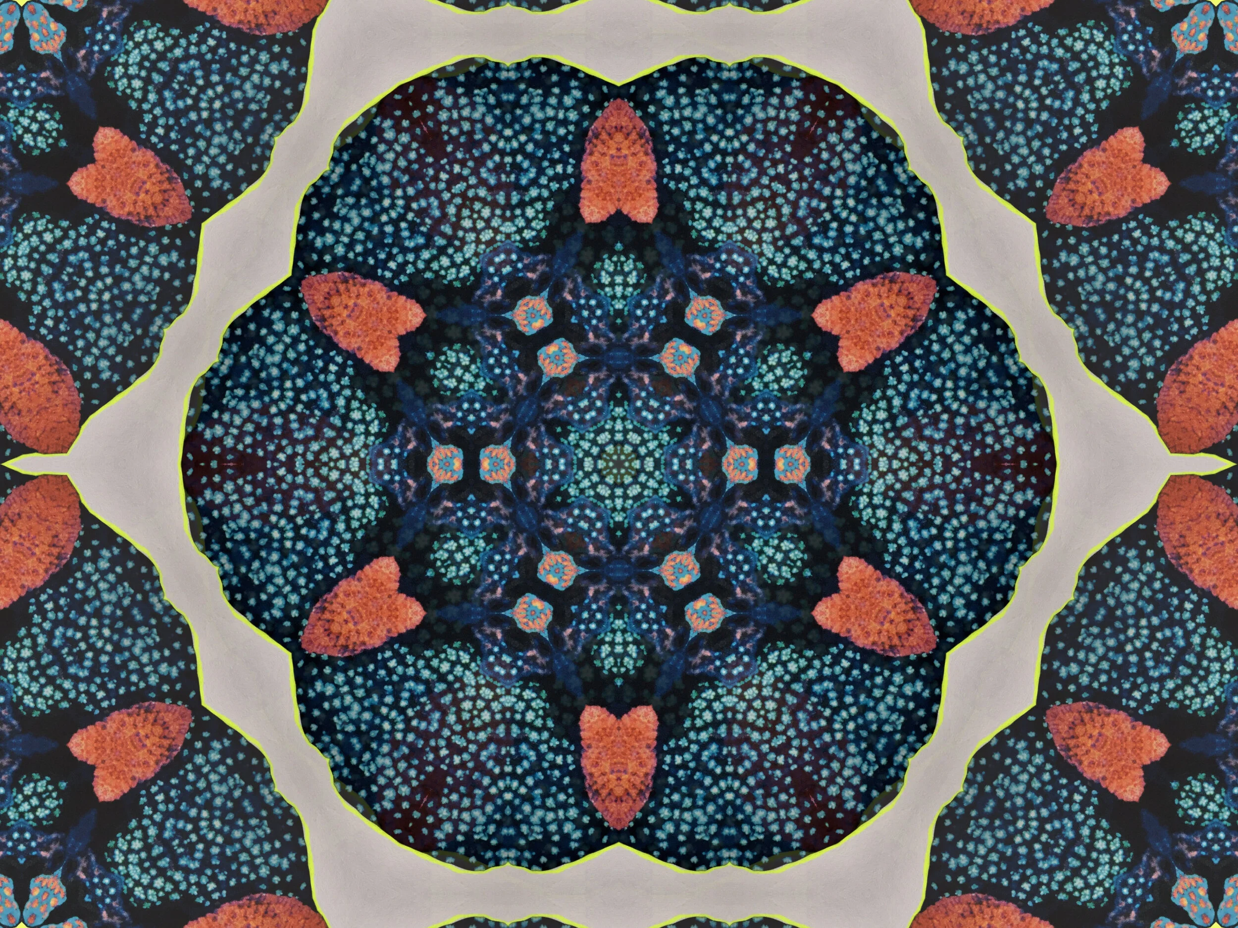 mandala11.jpg
