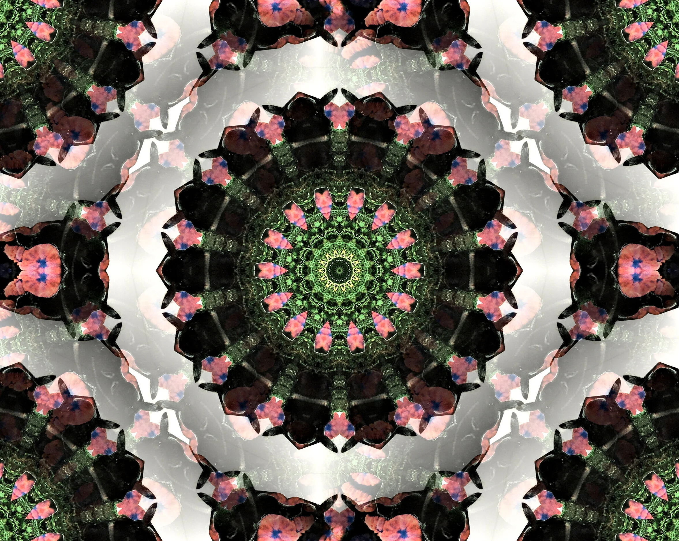 mandala15.jpg